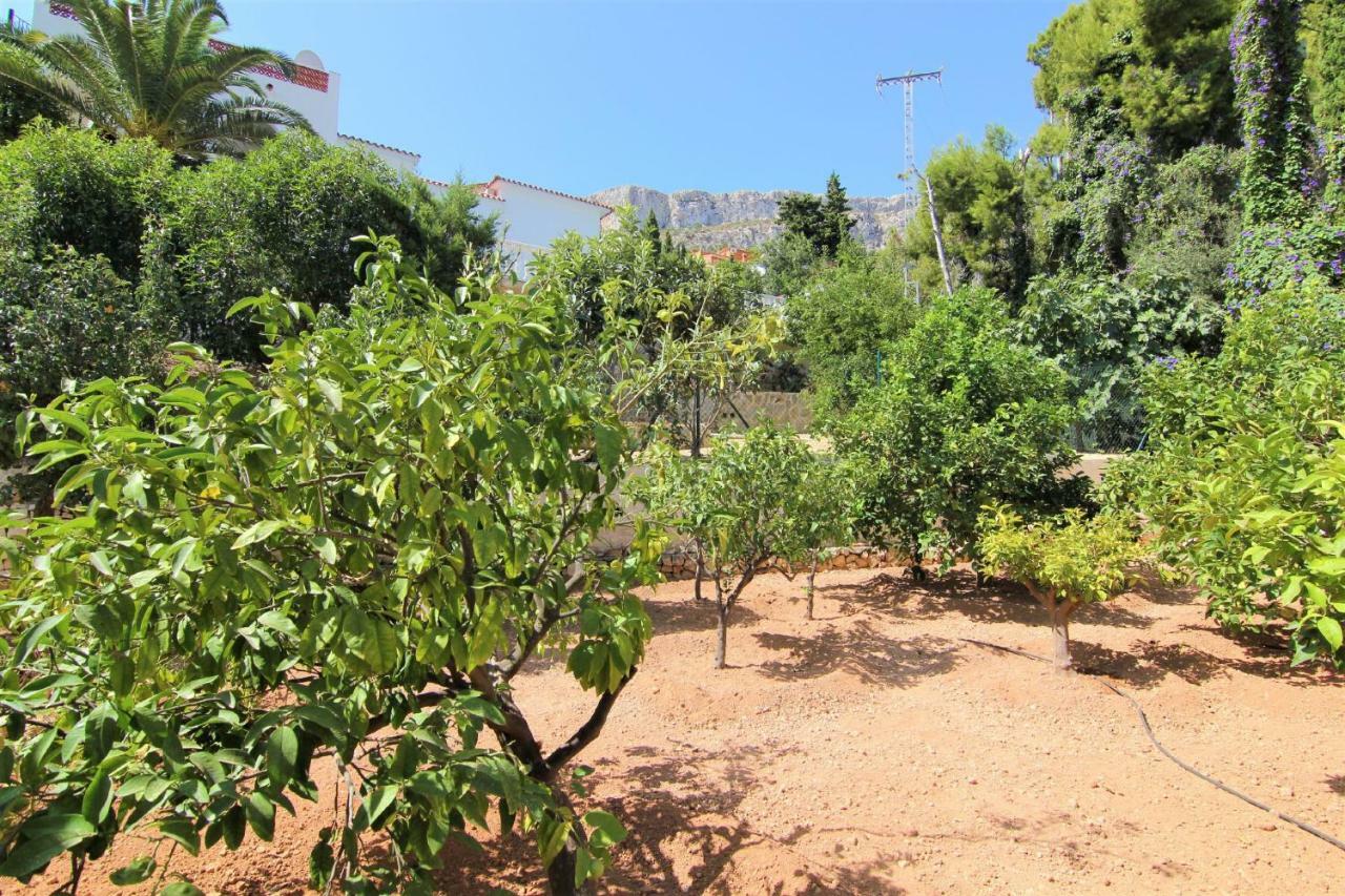Villavenus Calpe Exteriör bild