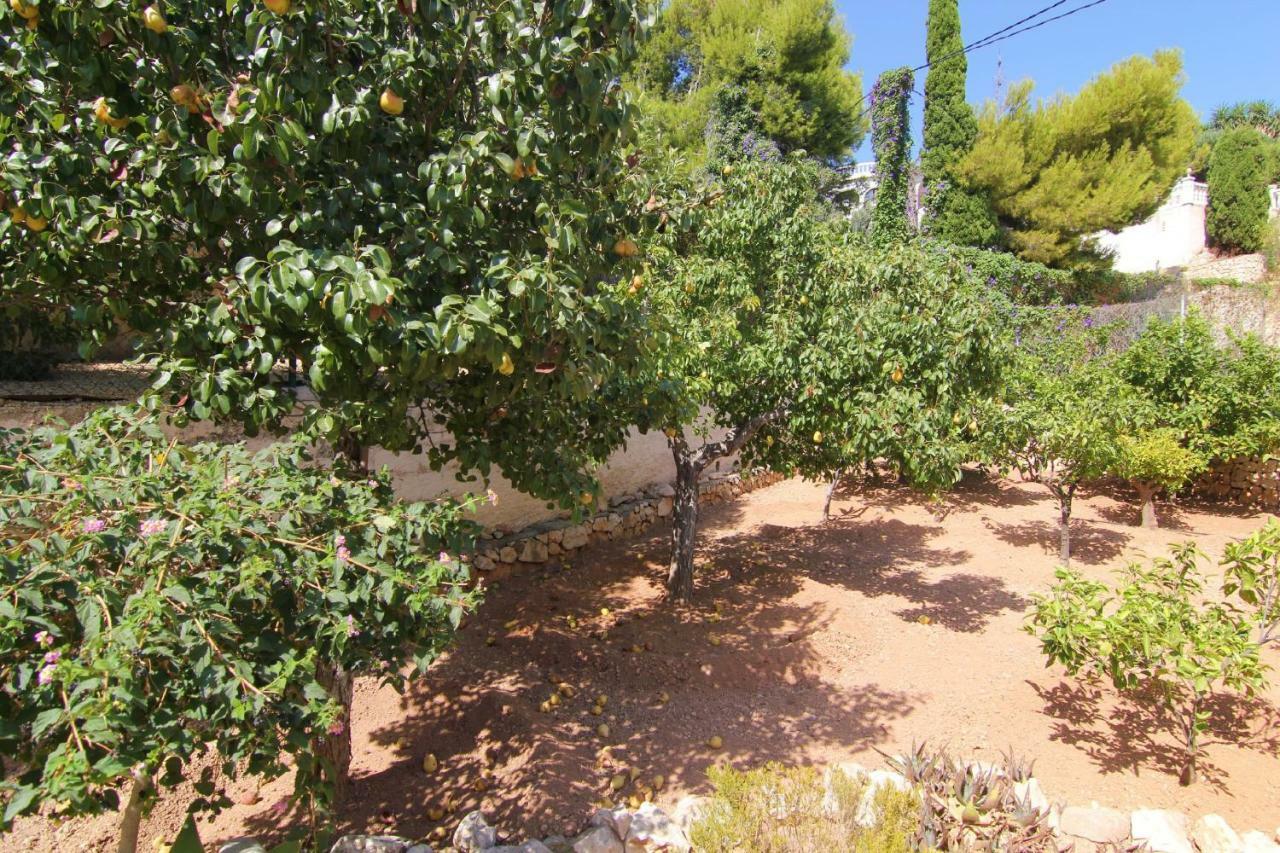 Villavenus Calpe Exteriör bild